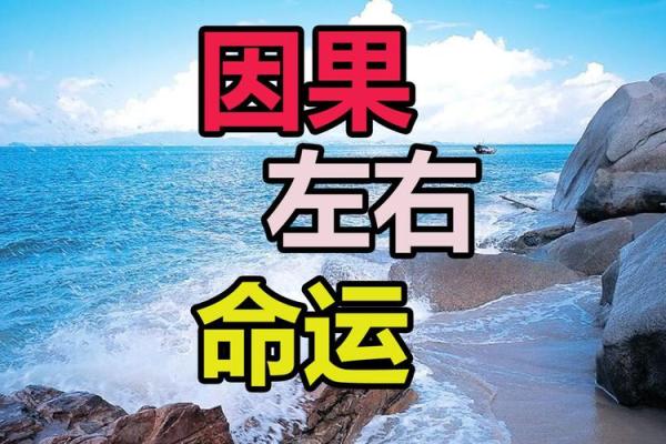 李连杰八字命理解析:深度探讨其命运轨迹与人生启示 李连杰八字命理解析:深度探讨其命运轨迹与人生启示