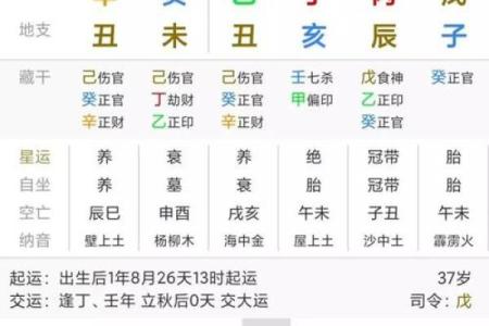 出生属狗的命运与运势发展