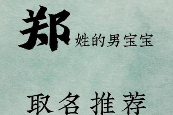 给姓郑的男宝宝起名:寓意深远的精选名字推荐 给姓郑的男宝宝起名:寓意深远的精选名字推荐