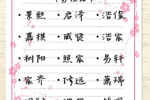 宋姓男孩命名大全：给宝宝一个有意义的名字