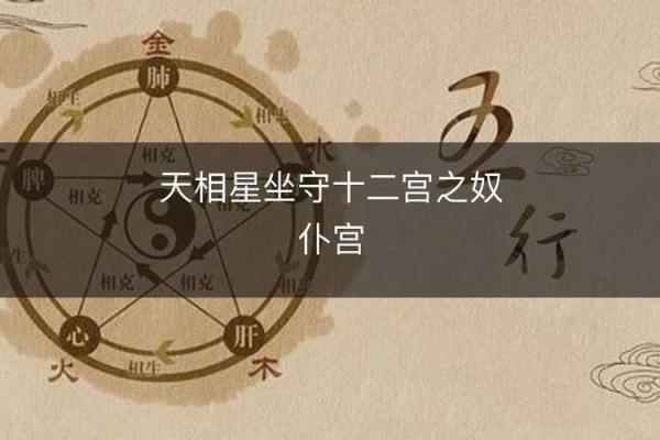 文星在命理中的作用与解读 文星在命理中的作用与解读