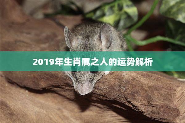 属相配对运势解析 免费获取人生方向 属相配对运势解析 免费获取人生方向