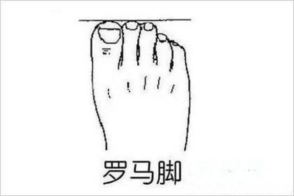 劳碌命与脚形的关系:怎样的脚形容易一生辛苦忙碌 劳碌命与脚形的关系:怎样的脚形容易一生辛苦忙碌