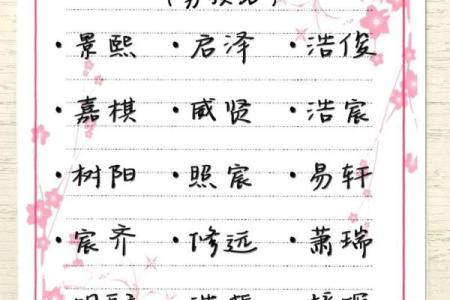 宋姓男孩命名大全：给宝宝一个有意义的名字