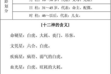 八字测命的奥秘与实际应用解析