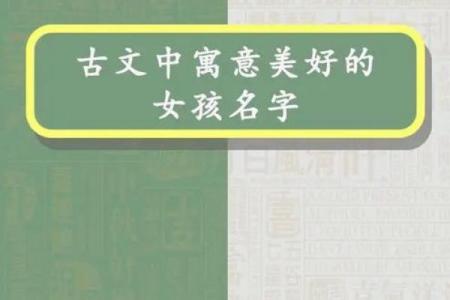 精选女宝宝名字，寓意美好与幸运