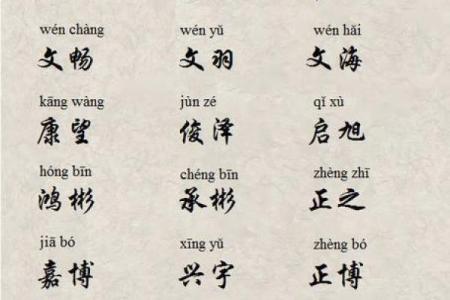 鸡年宝宝名字推荐与寓意解析