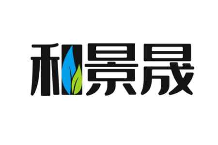 晟字在公司名称中的应用与创意命名技巧