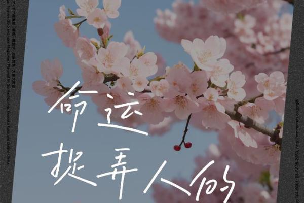 出生的人的人生特点与命运走向 出生的人的人生特点与命运走向