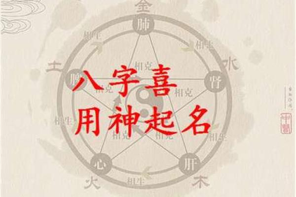如何给缺水鸡宝宝起个合适名字