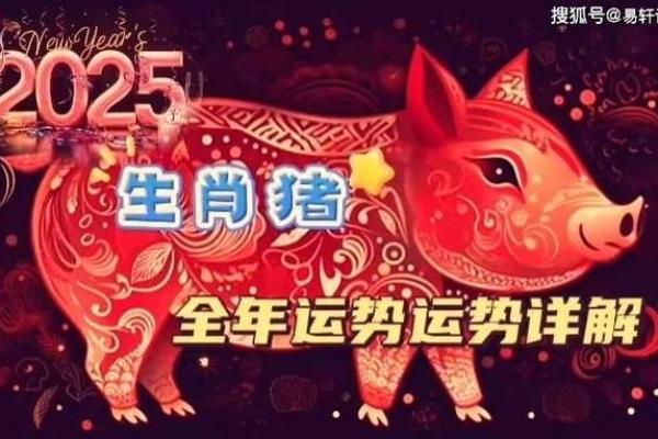 属猪男士事业与财运预测 属猪男士事业与财运预测