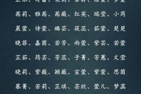 牛年宝宝起名技巧：如何选择最吉利的名字
