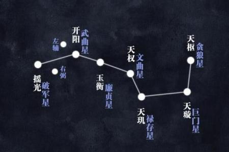 倚字五行解析：揭示其在命理中的深刻含义与影响
