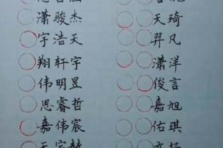 创意十足的双胞胎宝宝名字大全