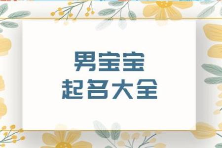如何给缺水鸡宝宝起个合适名字