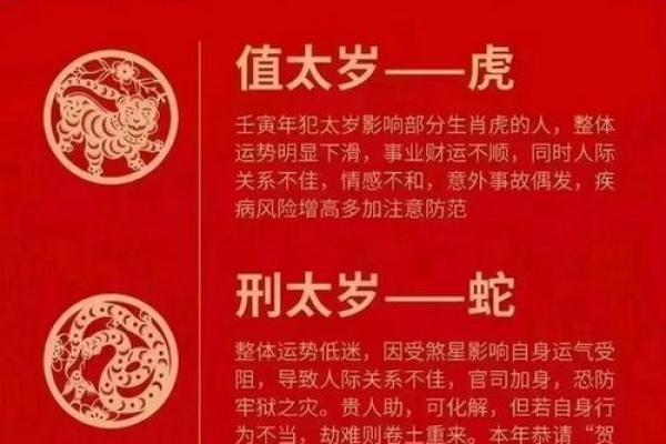 探索纯合命:命理学中的深层次概念 探索纯合命:命理学中的深层次概念