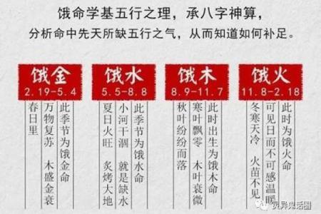 探索纯合命：命理学中的深层次概念