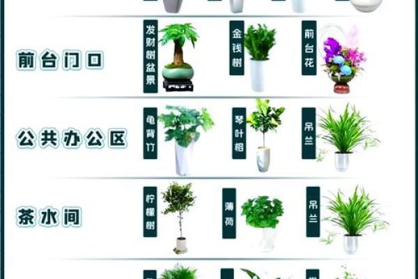 办公桌摆放风水禁忌与好运布局技巧 办公桌摆放风水禁忌与好运布局技巧