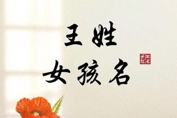 王姓女宝宝取名推荐 提升气质与运势的优选名字 王姓女宝宝取名推荐 提升气质与运势的优选名字