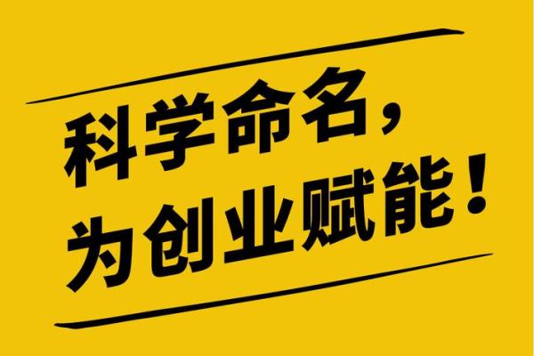 家政公司命名指南:打造独特品牌形象 家政公司命名指南:打造独特品牌形象