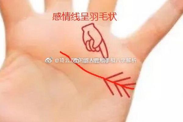 如何理解命犯桃花与感情运势的关系 如何理解命犯桃花与感情运势的关系