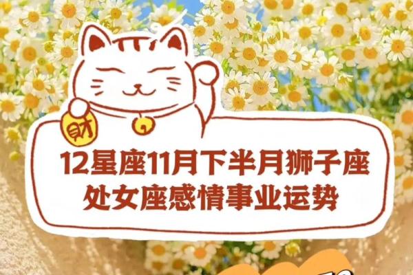探索情运势:哪些星座最容易遇到真爱 探索情运势:哪些星座最容易遇到真爱
