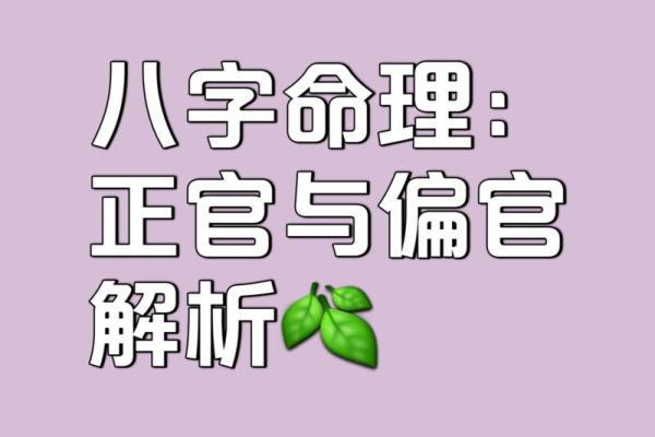 今日八字解读:探秘你的命运轨迹 今日八字解读:探秘你的命运轨迹