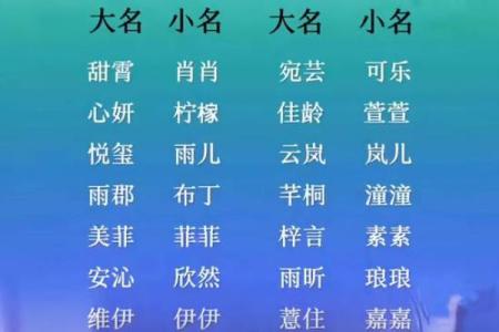 王姓女宝宝取名推荐 提升气质与运势的优选名字