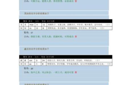 公司起名凶吉查询的重要性及方法解析