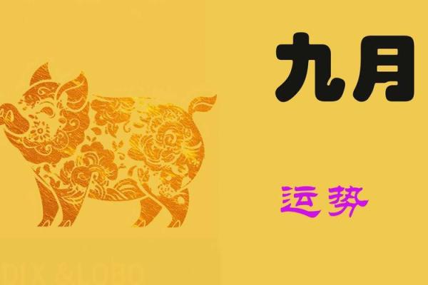 属猪运势大揭秘:如何把握好运与化解困难 属猪运势大揭秘:如何把握好运与化解困难