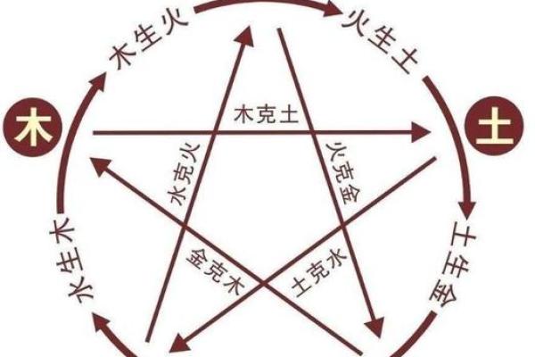 五行九画金的深层含义与命理解析 五行九画金的深层含义与命理解析