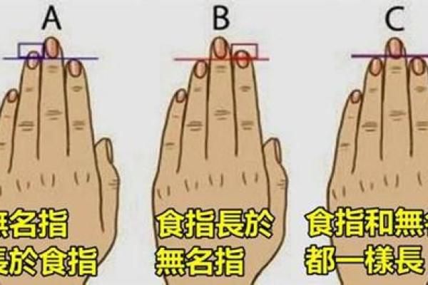 中平偏上命格解析与人生影响揭秘 中平偏上命格解析与人生影响揭秘