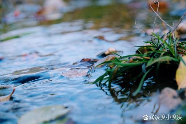 五行之金水相生:探寻含金含水的字义与象征 五行之金水相生:探寻含金含水的字义与象征