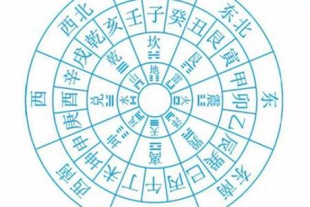 解密养鱼风水：如何通过水生物调整家运