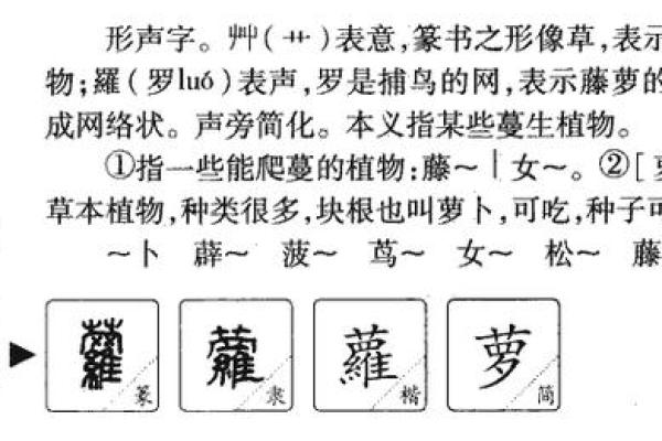 风中奇缘:如何为孩子选择带有风字的寓意深远名字 风中奇缘:如何为孩子选择带有风字的寓意深远名字