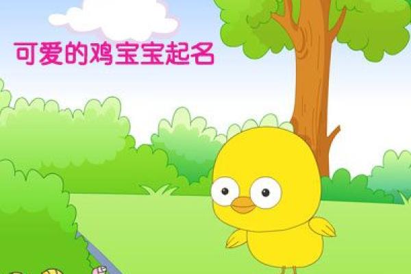温馨与寓意并存 鸡宝宝名字大全推荐 温馨与寓意并存 鸡宝宝名字大全推荐