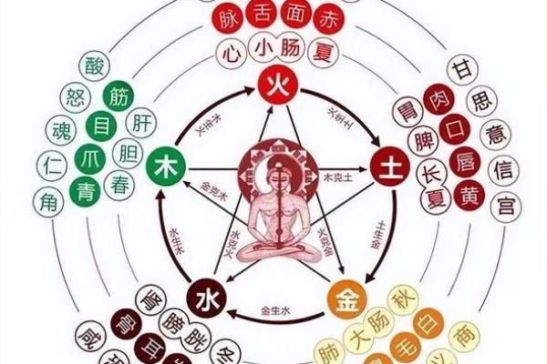 心属于五行中的哪一类及其对应属性解析 心属于五行中的哪一类及其对应属性解析