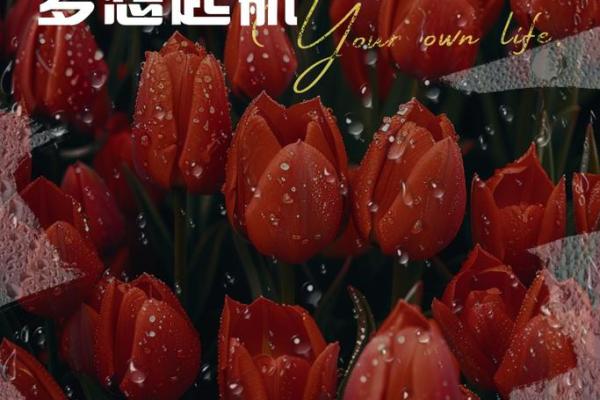 含航,代表着理想与未来的远航 含航,代表着理想与未来的远航