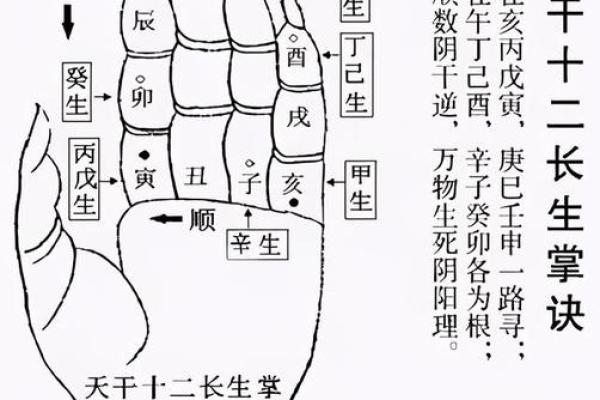 女孩八字强弱对命运的影响解析 女孩八字强弱对命运的影响解析