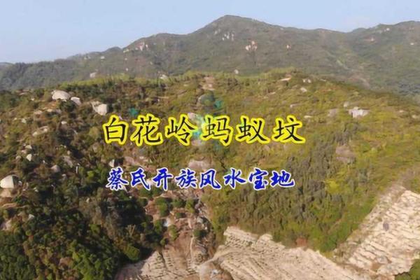 家居风水中蚂蚁现象的深层含义与化解方法 家居风水中蚂蚁现象的深层含义与化解方法