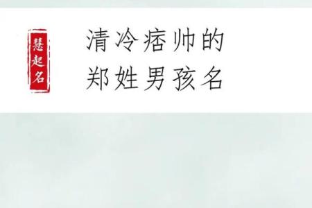 郑姓男孩起名技巧：从五行到音韵的完美结合