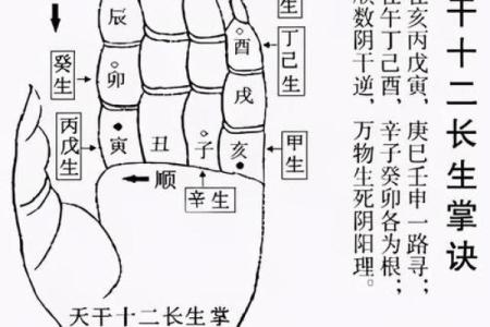女孩八字强弱对命运的影响解析