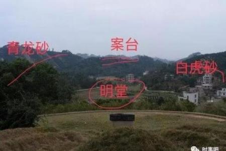 家居风水中蚂蚁现象的深层含义与化解方法