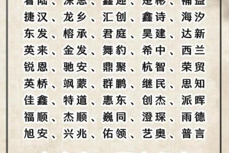 公司名字起名软件，让创意与科技同行
