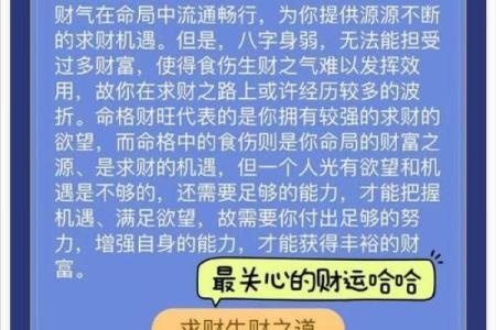 八字学习入门：掌握命运的第一步