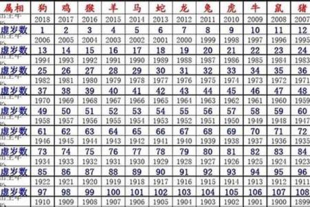 属什么生肖的详解与运势分析
