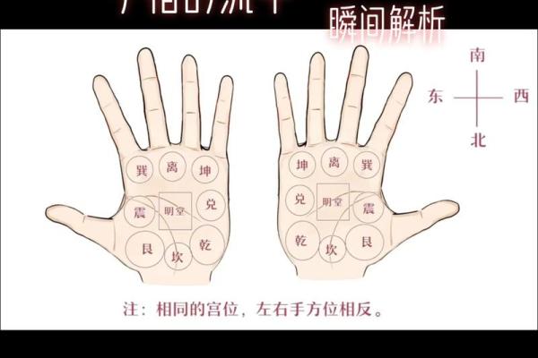 手相解密:哪些手型预示着富贵一生 手相解密:哪些手型预示着富贵一生