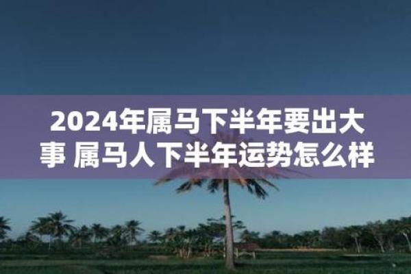 出生的人属马的生肖解析与命运特点 出生的人属马的生肖解析与命运特点