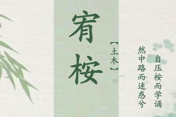 富字在男孩名字中的文化象征 富字在男孩名字中的文化象征