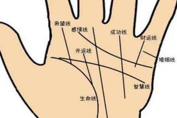 富贵命的人指纹特征有哪些?揭秘影响命运的指纹秘密 富贵命的人指纹特征有哪些?揭秘影响命运的指纹秘密